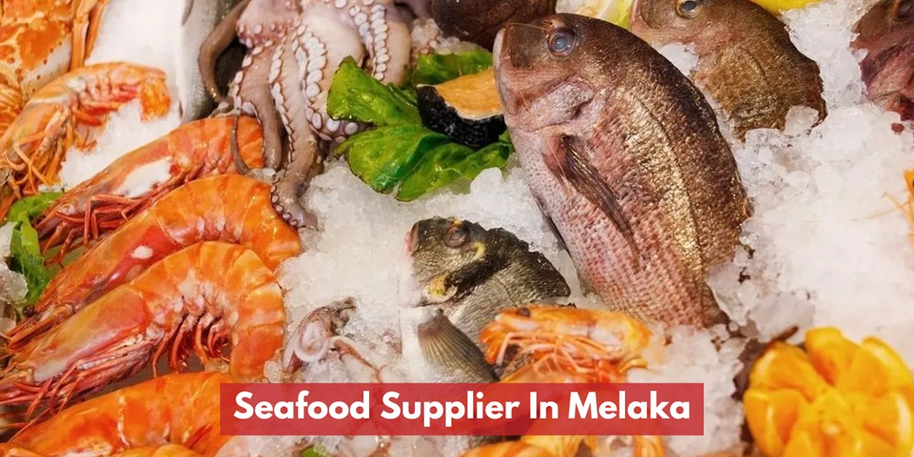 Pembekal Makanan Laut Di Melaka